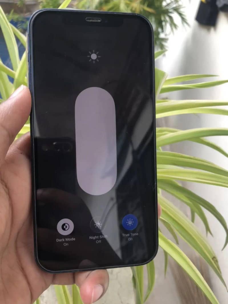 Apple iPhone 12 2