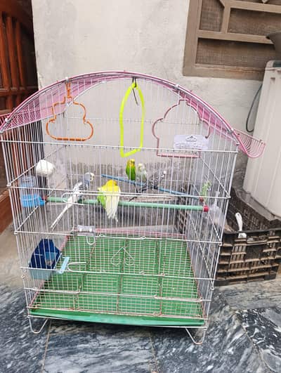 birds cage
