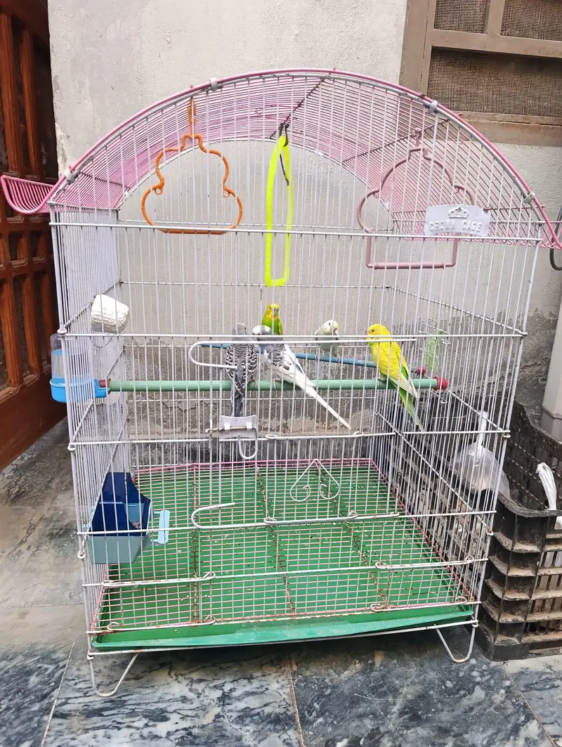 birds cage — photo 2