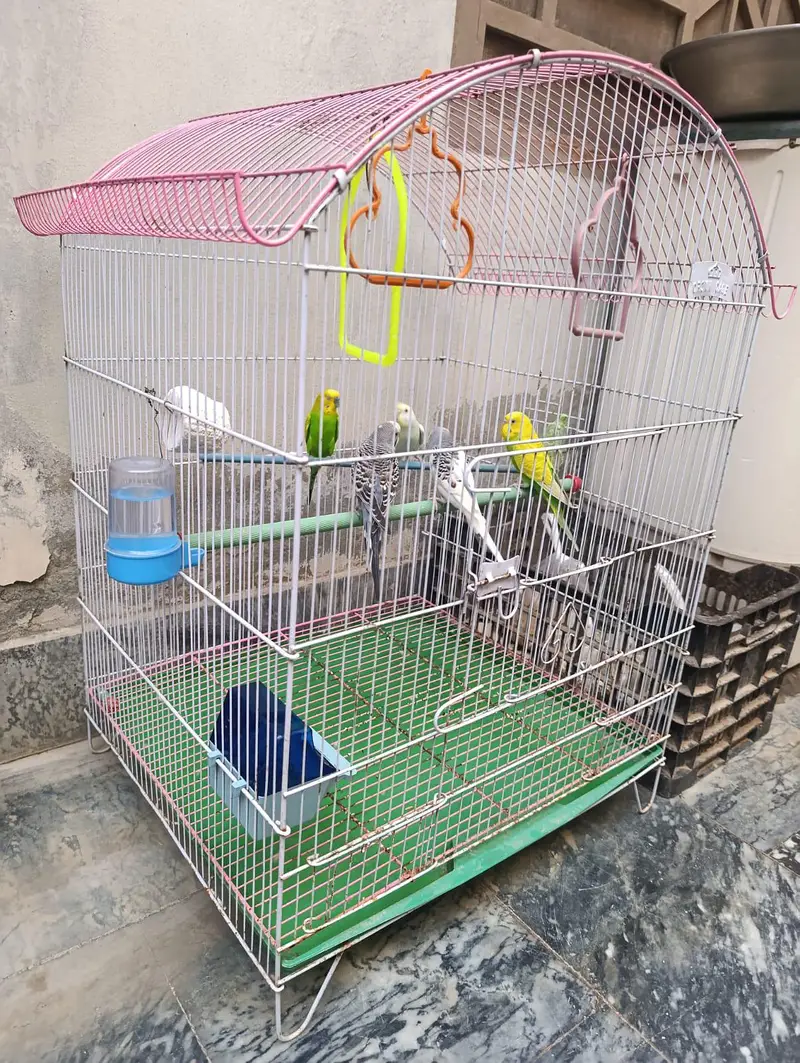 birds cage — photo 3