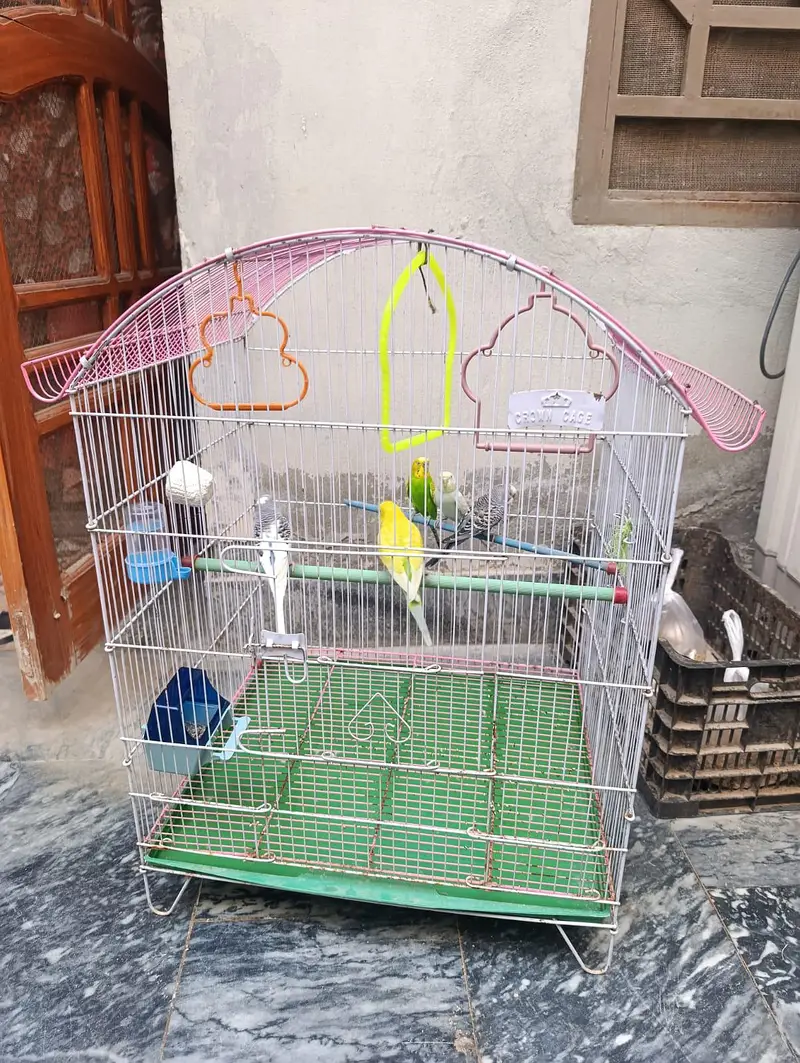 birds cage — photo 4