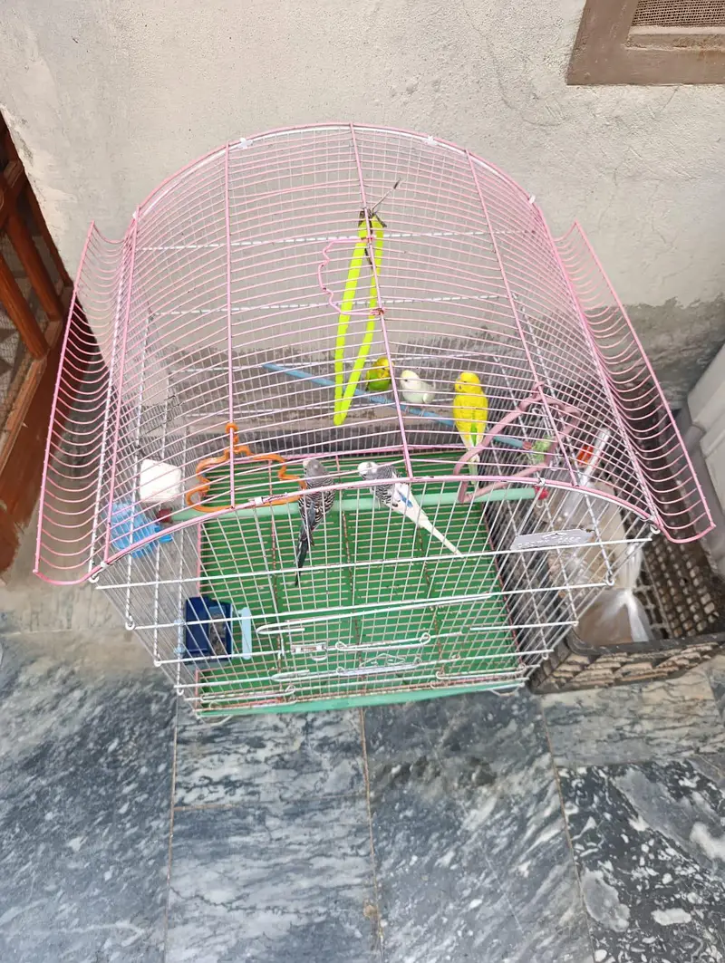 birds cage — photo 5