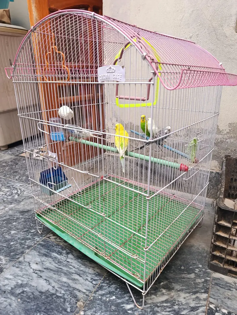 birds cage — photo 6