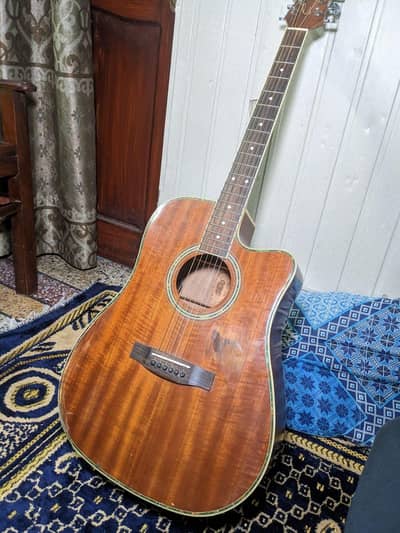 Semi acoustic