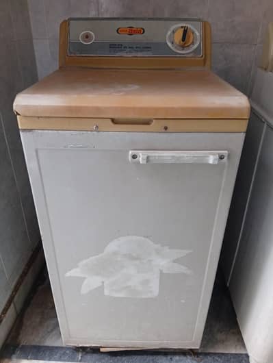Spin Dryer