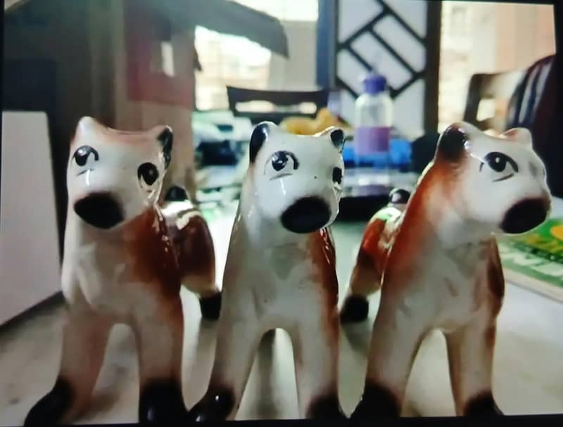 stylish dogs 0