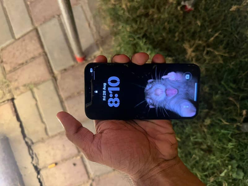 Apple iPhone 13 mini 2