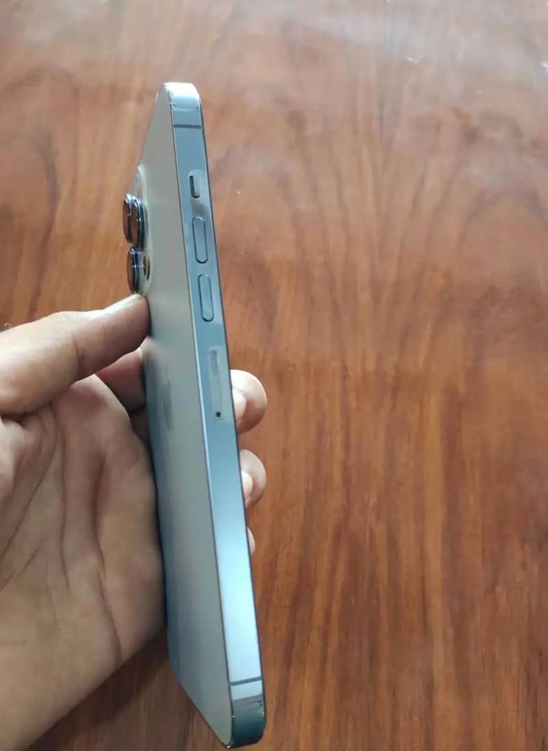 Apple iPhone 13 Pro Max 3