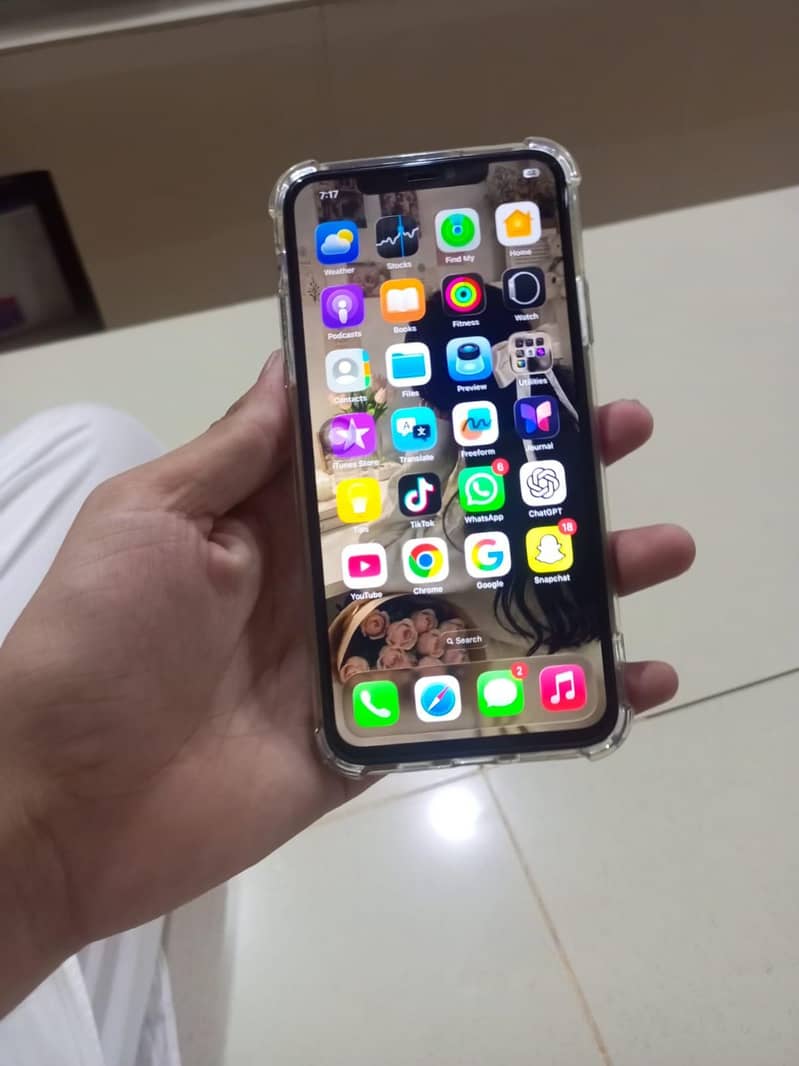 11 pro max 2
