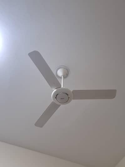 Fans for sale