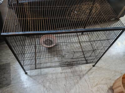 Cages for Birds