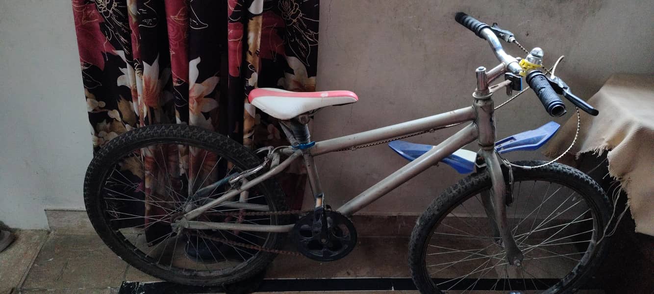 Bicycle 1
