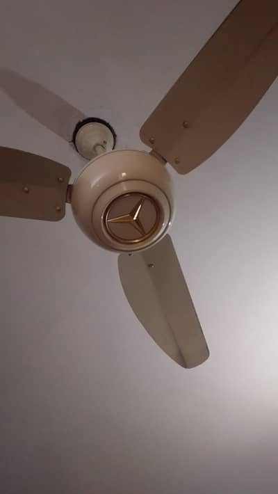 murced logo fan