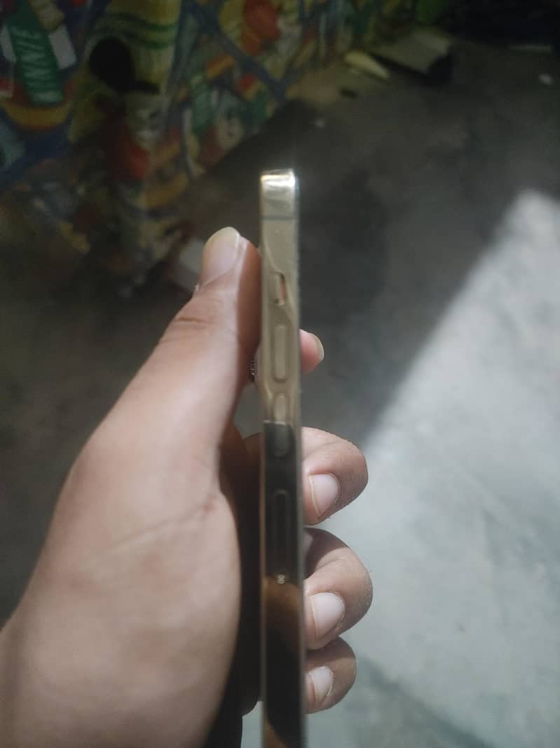 Apple iPhone 13 Pro Max 1