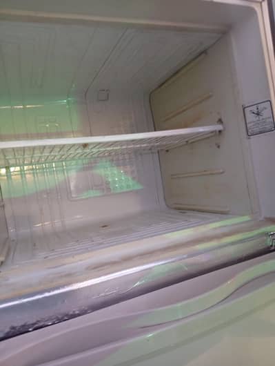dowlanc frig 2 door