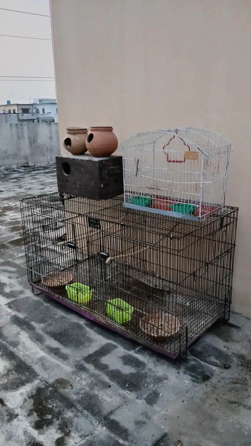 Parrot and Bird Cages and Breeding Box for Sale — photo 2