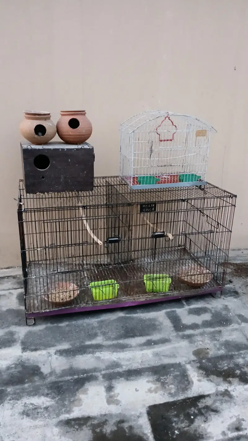 Parrot and Bird Cages and Breeding Box for Sale — photo 3