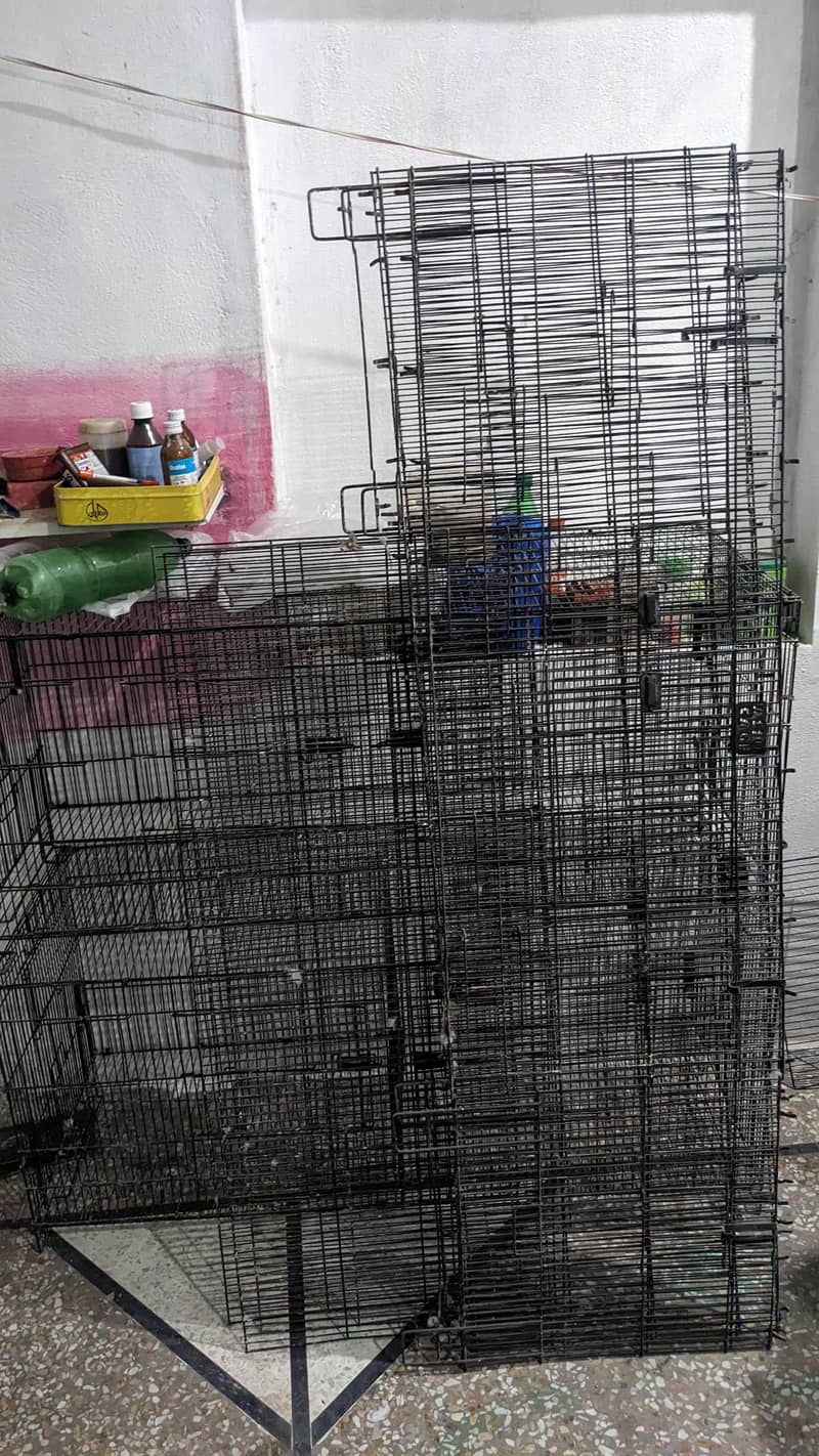cages 4