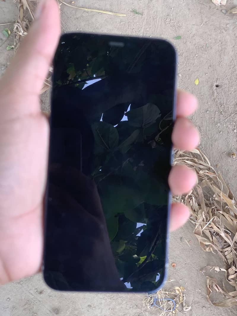 Apple iPhone 12 1