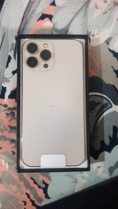 Apple iPhone 13 Pro Max