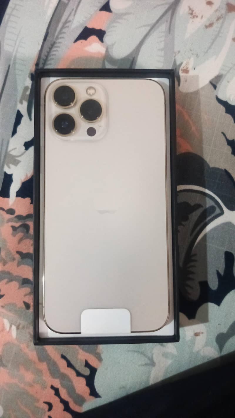 Apple iPhone 13 Pro Max 0