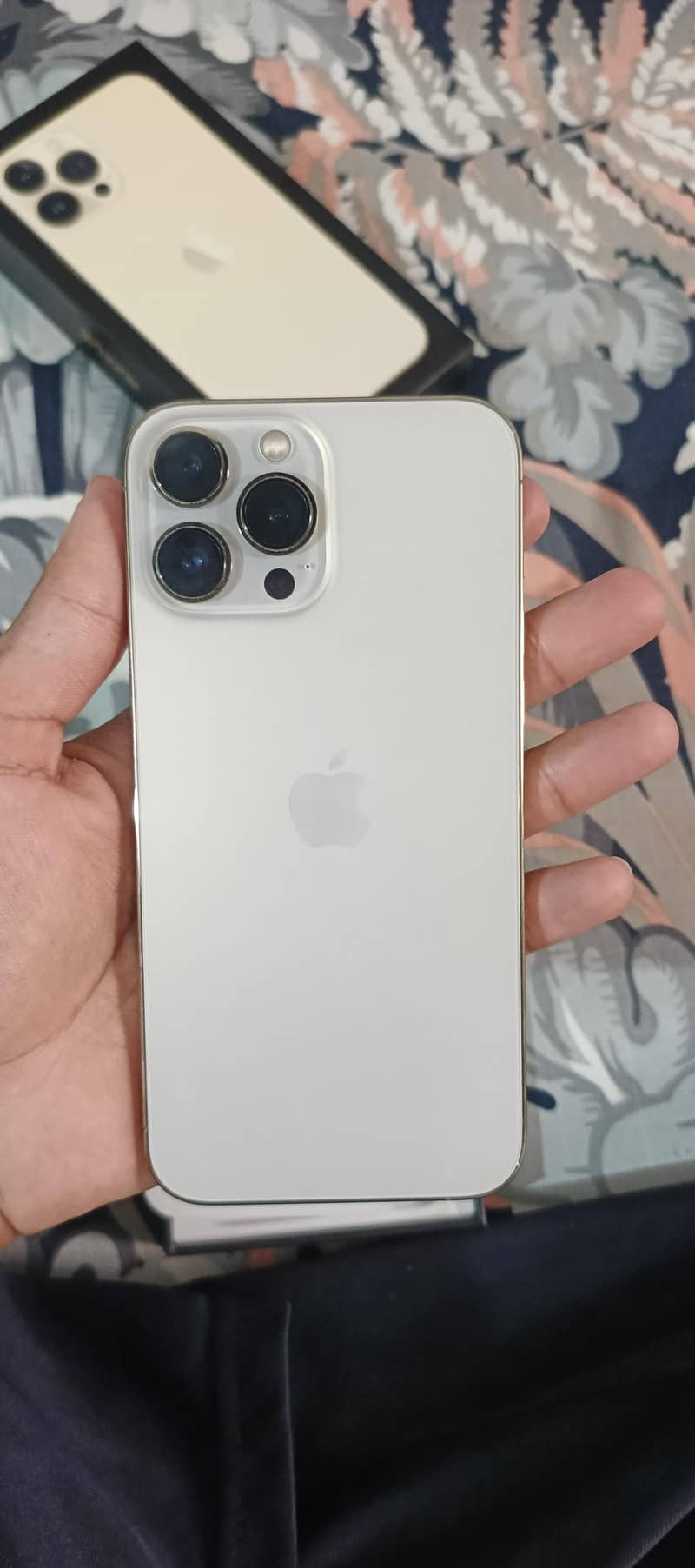 Apple iPhone 13 Pro Max 1