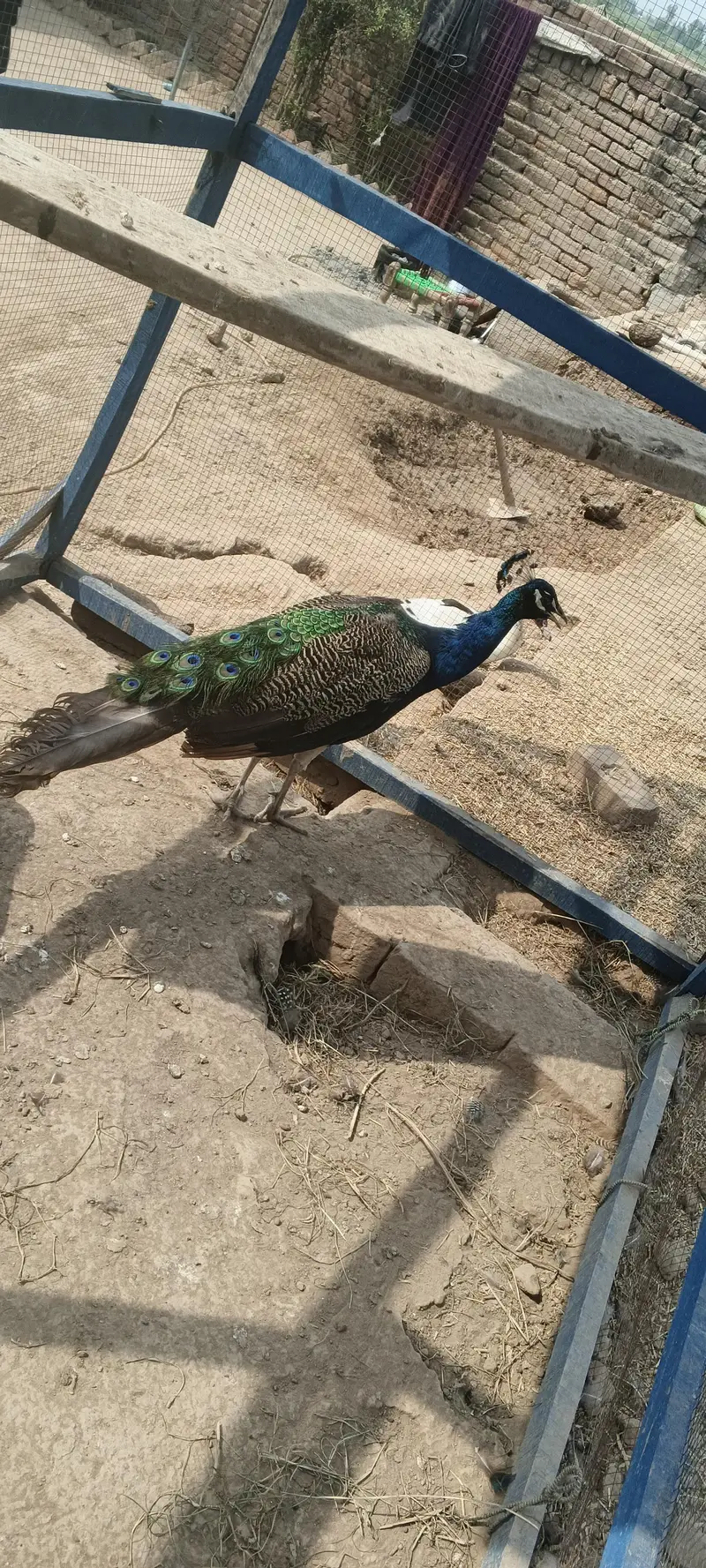 is ko. seal. kana ha jis ko. xhiya bato nacha number ha — photo 2