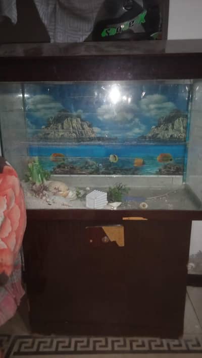 Fish House 