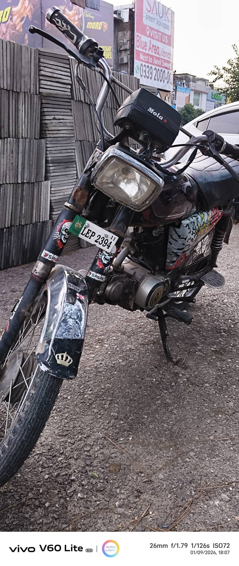 Model 2011 3