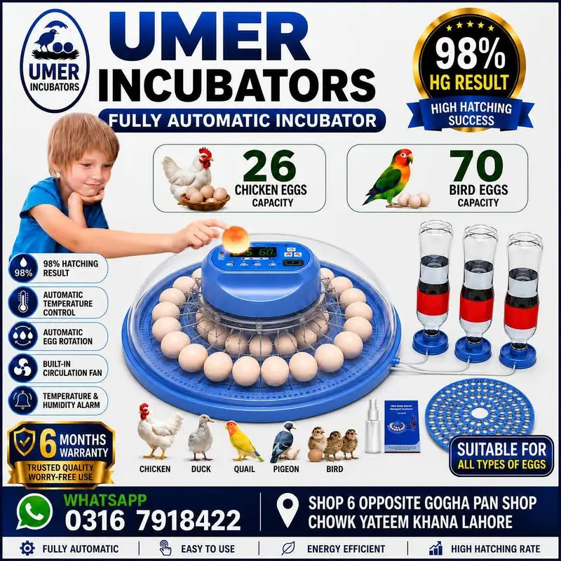 Automatic Egg Incubator | Egg Hatching Machine | Incubator | Brooder — photo 4