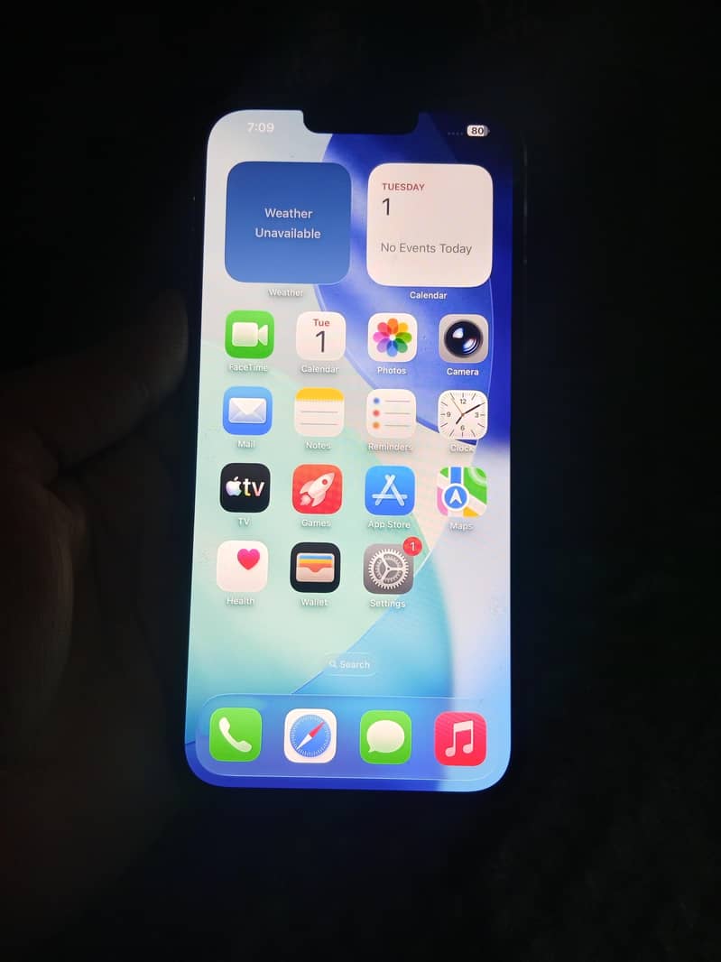 Apple iPhone 13 Pro Max 3