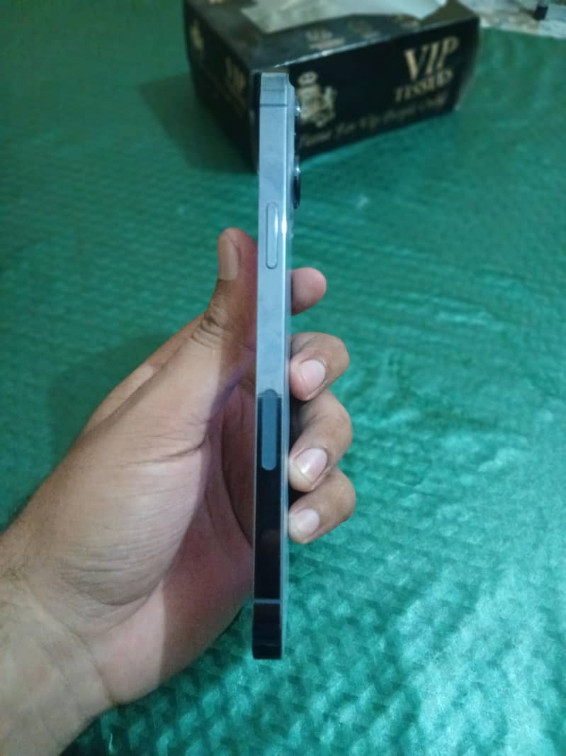 Apple iPhone 13 Pro Max 12
