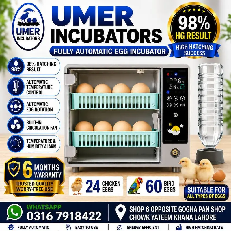 Automatic Egg Incubator | Egg Hatching Machine | Incubator | Brooder — photo 7