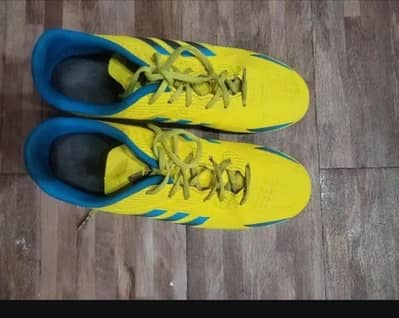 only serious buyers contact me