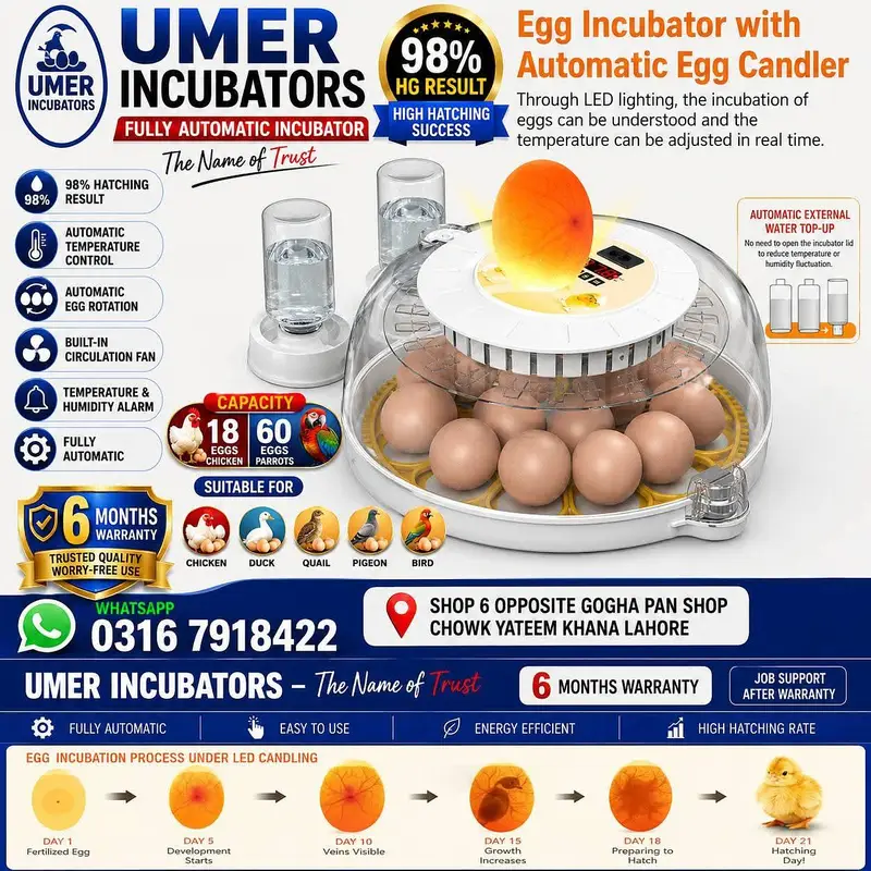 Automatic Egg Incubator | Egg Hatching Machine | Incubator | Brooder — photo 8