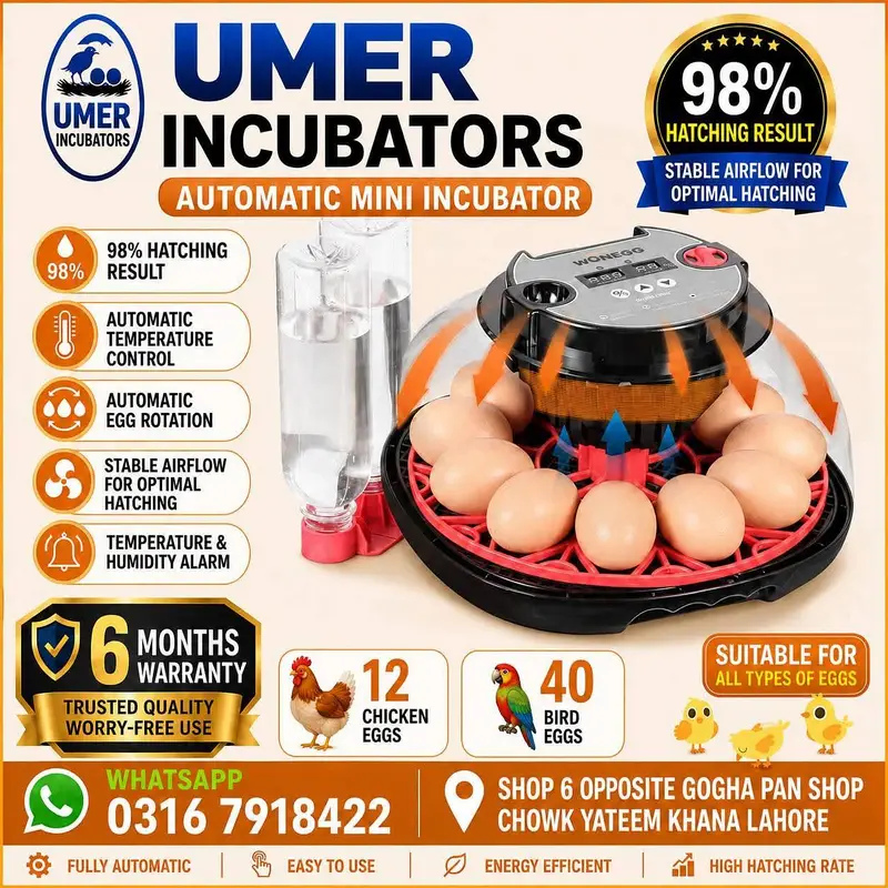 Automatic Egg Incubator | Egg Hatching Machine | Incubator | Brooder — photo 12