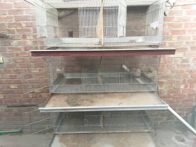 CAGE FOR HENS