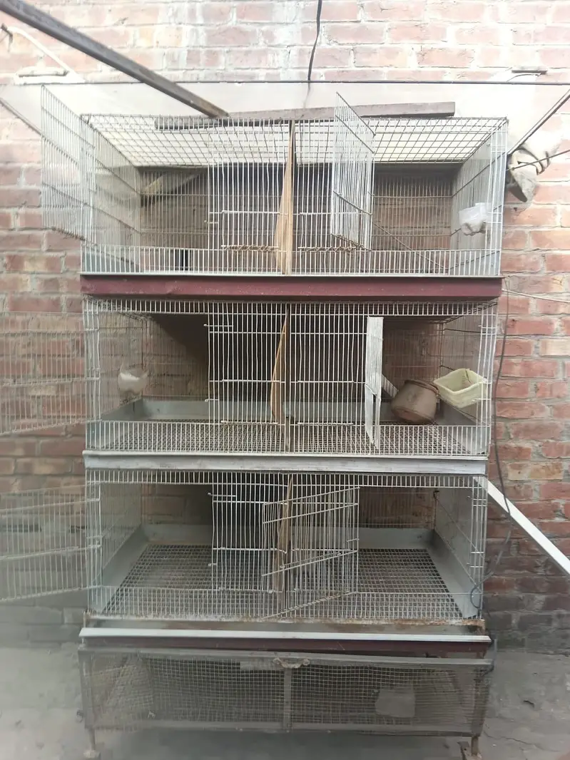 CAGE FOR HENS — photo 2
