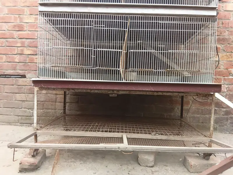 CAGE FOR HENS — photo 3