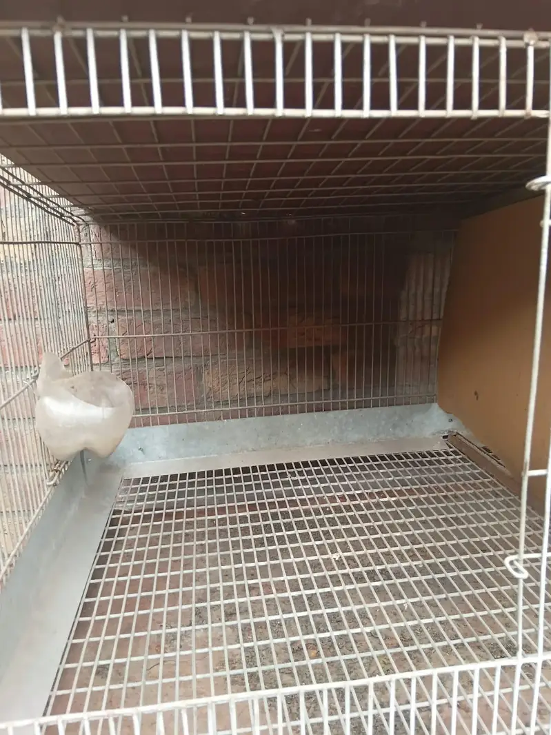 CAGE FOR HENS — photo 4