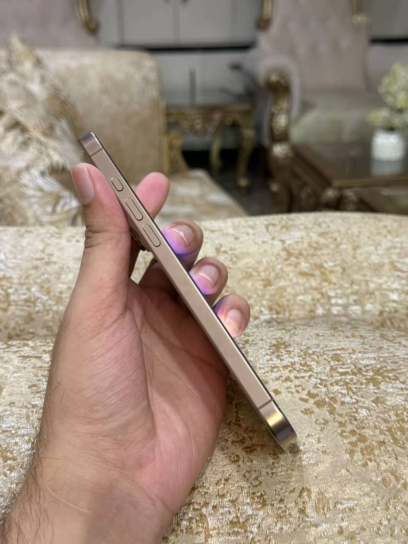 Apple iPhone 16 Pro Max 1