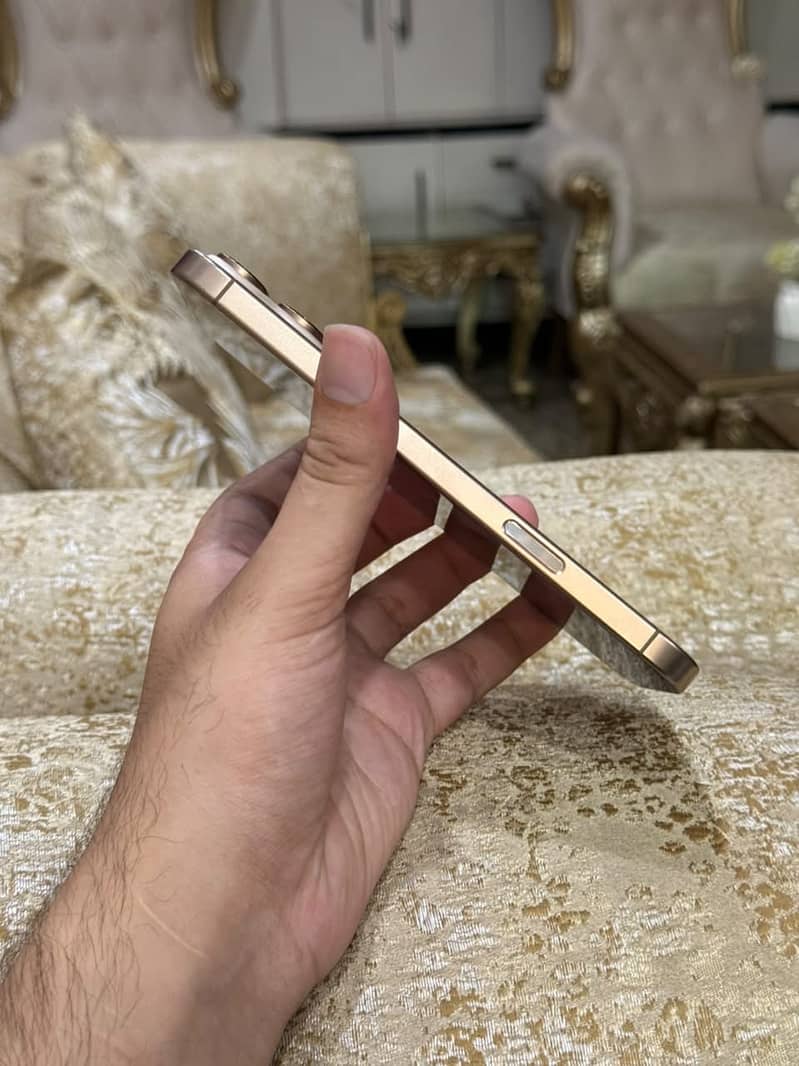 Apple iPhone 16 Pro Max 2