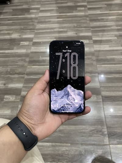 Apple iPhone 13 Pro Max