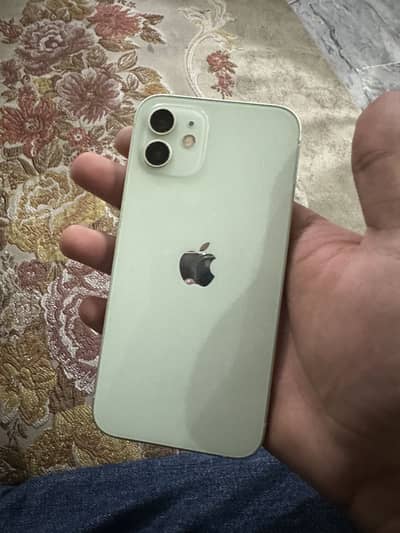 Apple iPhone 12 PTA Approved