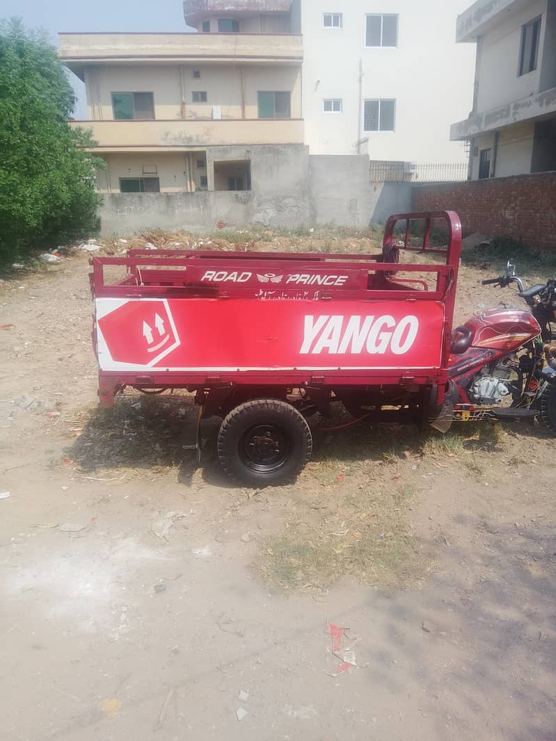 m Javed 6