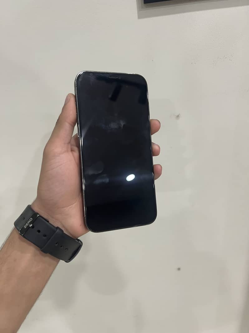 12 pro max 1