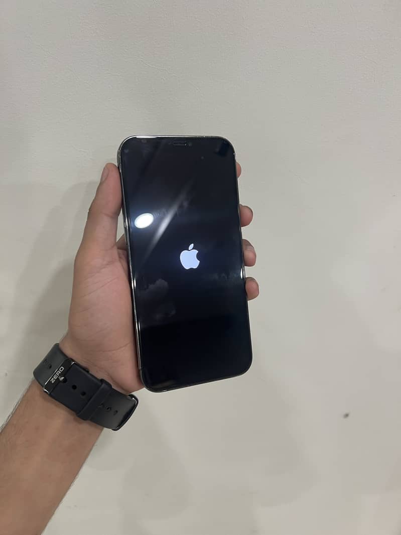 12 pro max 6