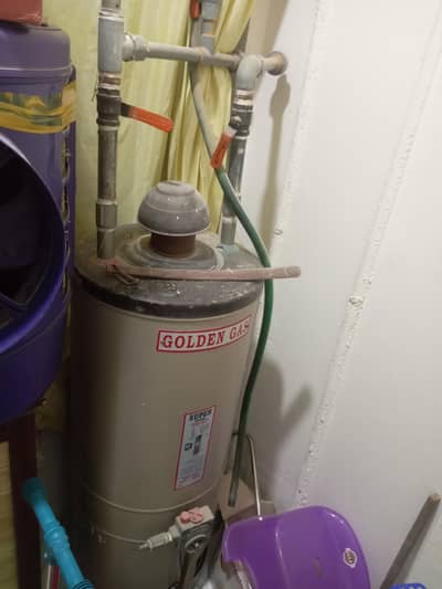 mint condition gas gizzer hai