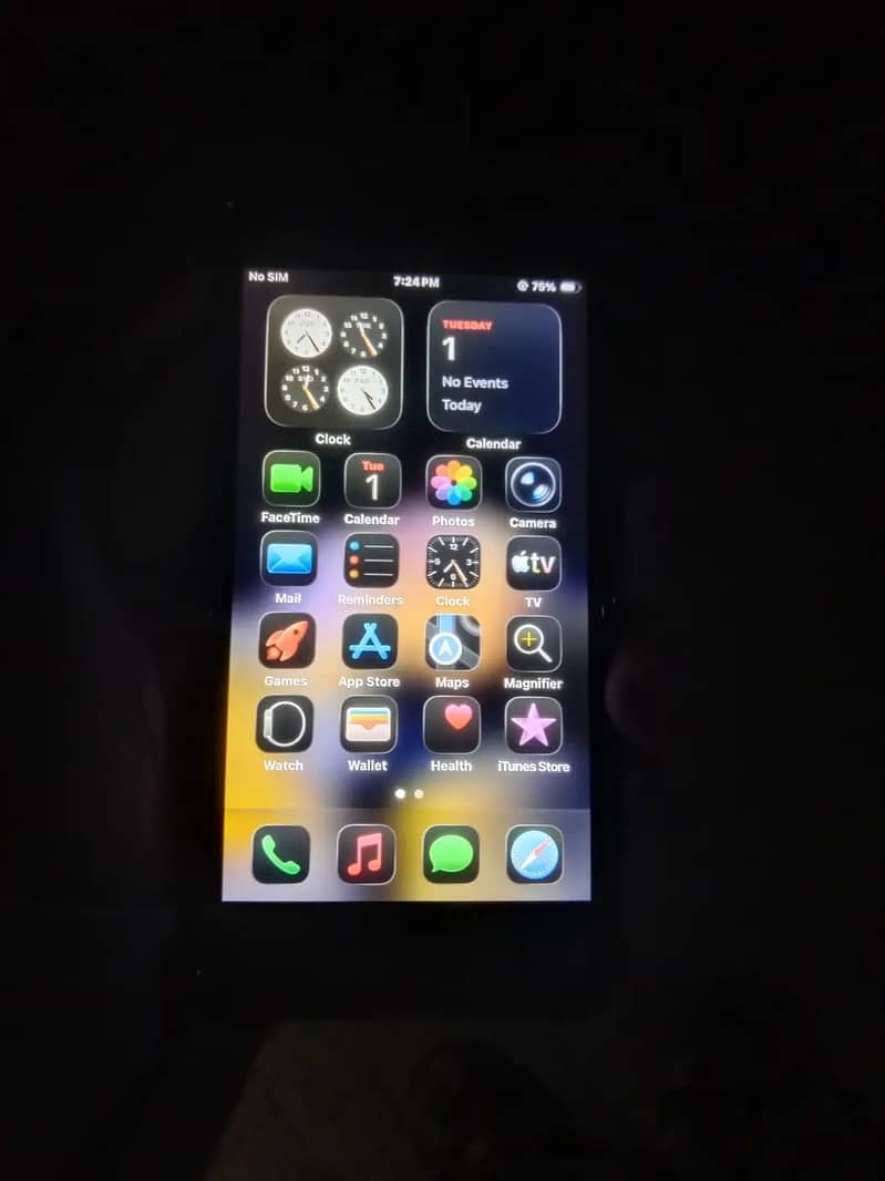 Apple iPhone SE 1