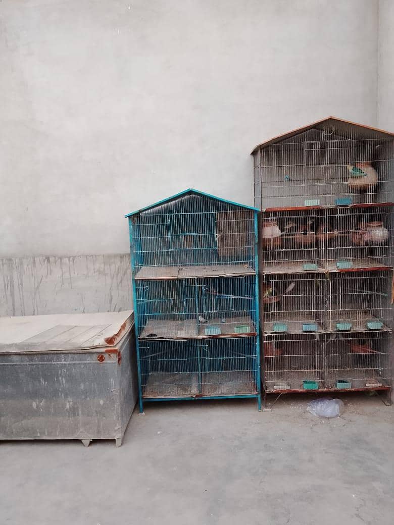 5 portion cage 0